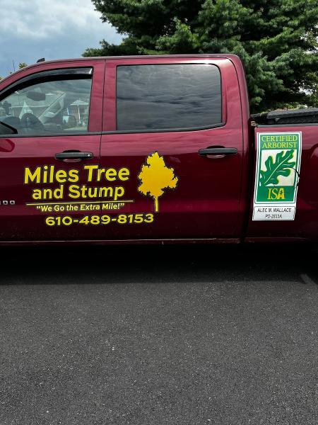 Miles Tree and Stump