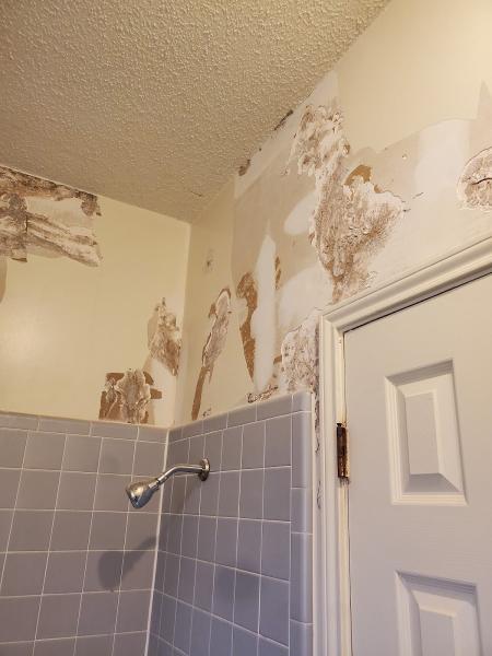 Austin Sheetrock Repair and Painting Specialist