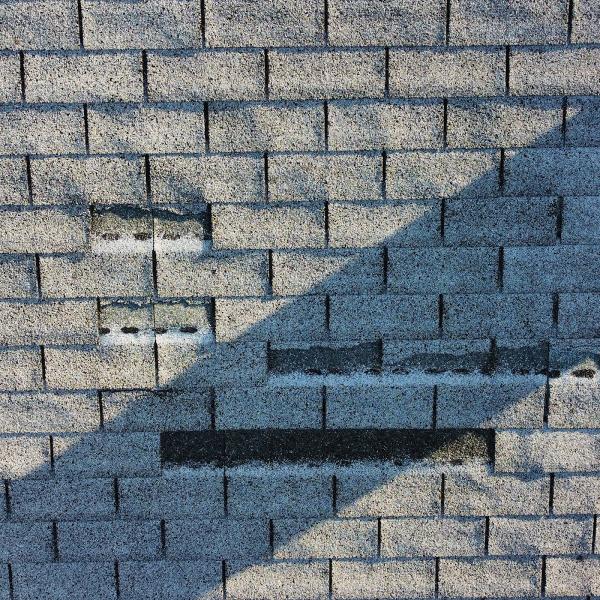 Eagle Eyed Inspections