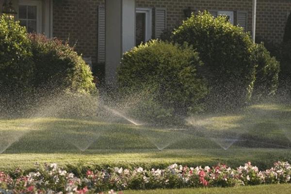 Southern Style Landscaping