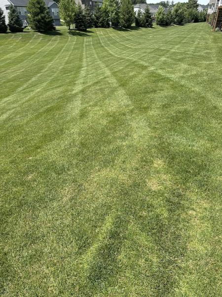 Dehamer Landscaping