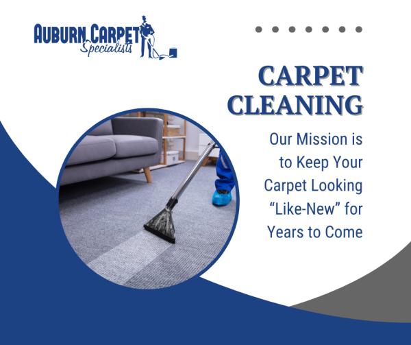 Auburn Carpet
