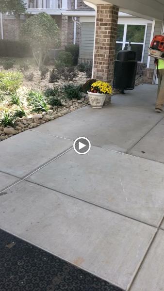 Premier Landscape and Turf