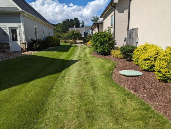 Premier Landscape and Turf