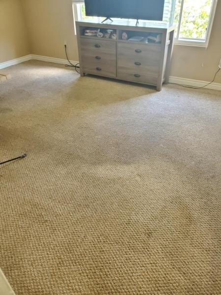 Mega Dry Carpet Cleaning