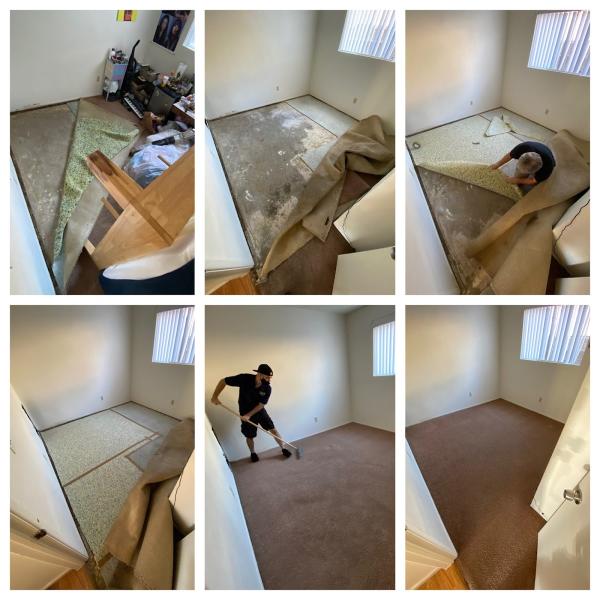 Mega Dry Carpet Cleaning
