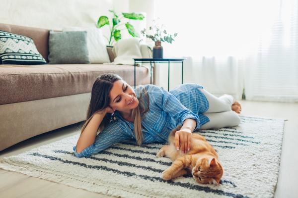 Mega Dry Carpet Cleaning