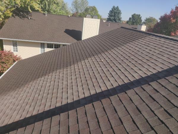 Fresh Roof