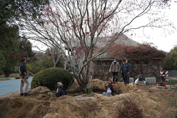 Sterling Tree & Lawn Service