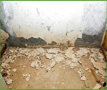 GAC Environmental