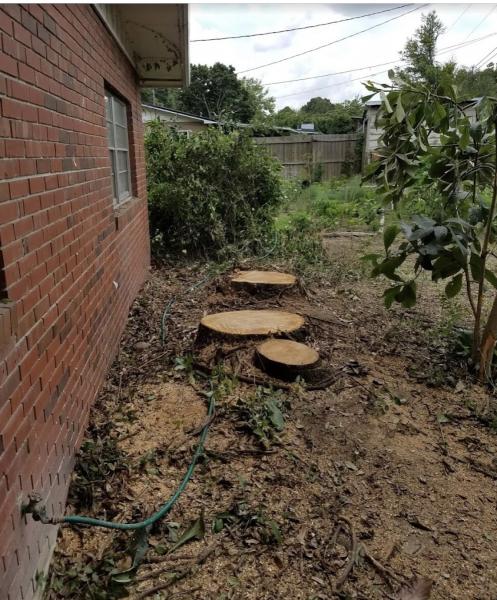 Lee County Tree Service LLC