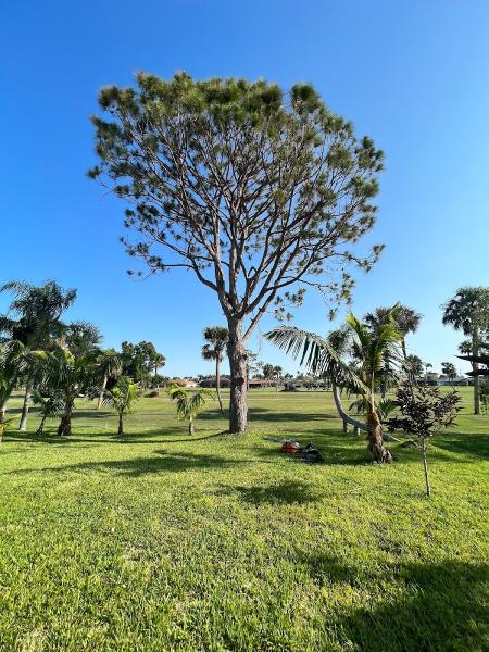 Lee County Tree Service LLC