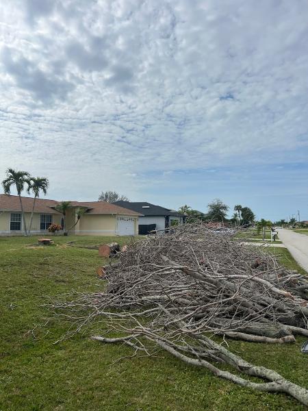 Lee County Tree Service LLC