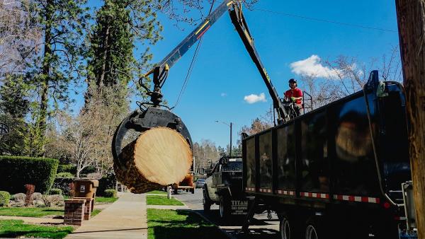 All Seasons Tree Service
