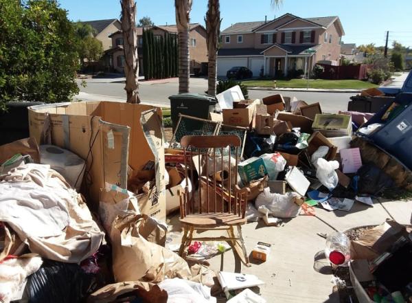 Action E-Z Haul & Property Clean Up