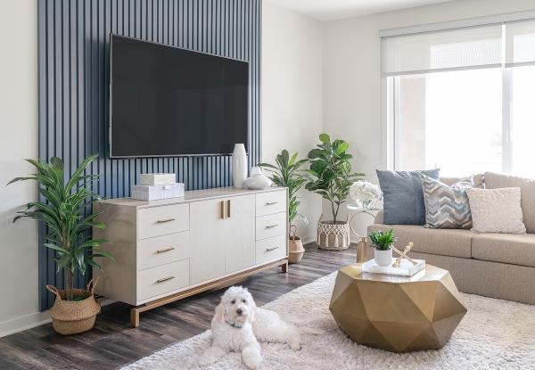 Cindy Carpenter Interior Design