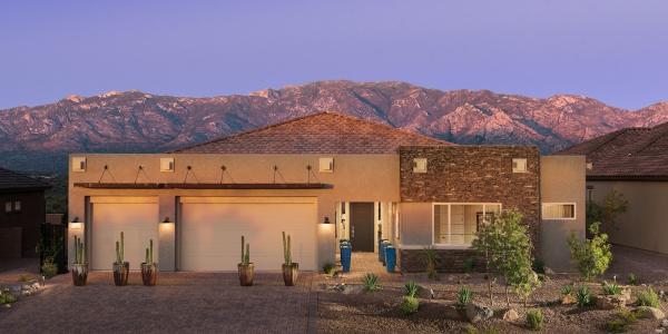 Arizona Premium Painting