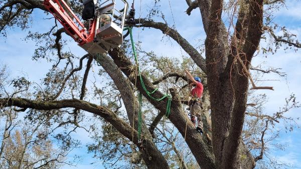 Choppers Tree Service