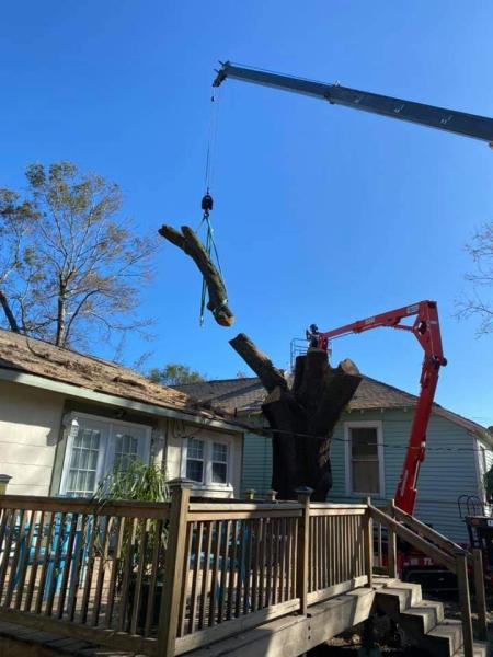 Choppers Tree Service