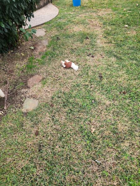 Yard Mines Pet Waste Solutions