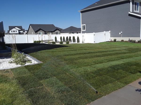 Pro Sprinklers and Landscaping