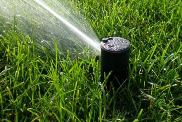Pro Sprinklers and Landscaping