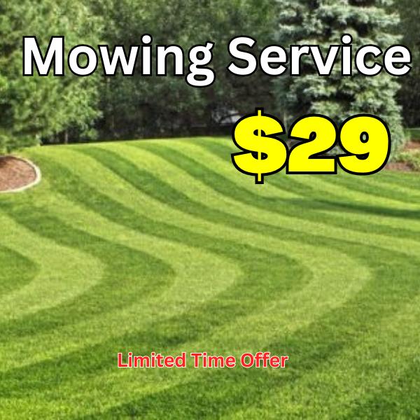 Essence Lawn Care