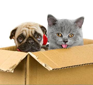 Johnson Storage & Moving