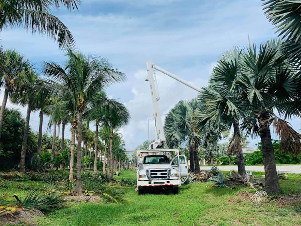 O'Leary's Tree Services Tallahassee