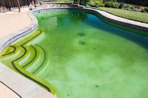 Pool Removal Los Angeles