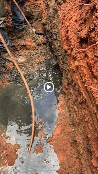Septicrooter