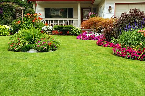 Green Top Lawn LLC