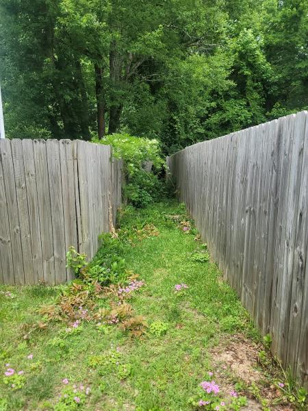 Green Top Lawn LLC