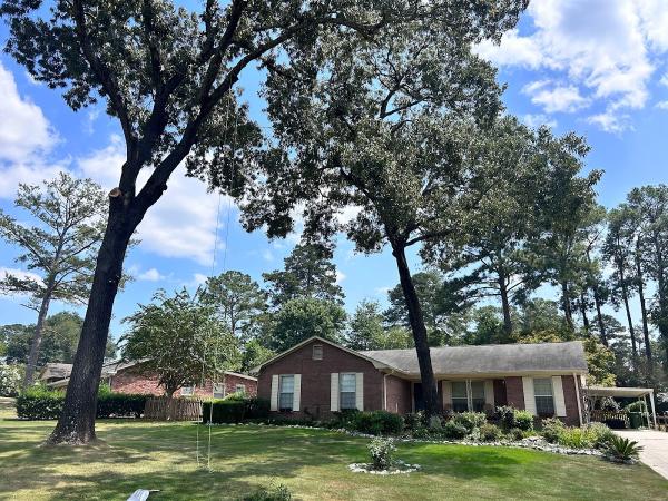 Tree MD LLC Local Tree Care