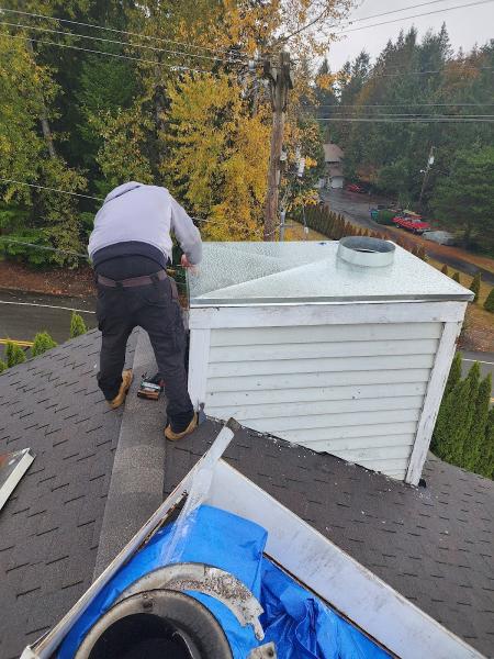 Express Chimney Services