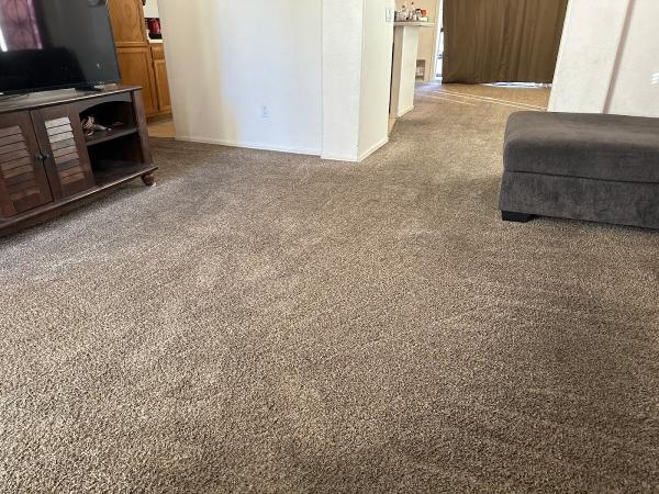 Starr Cleaning Services