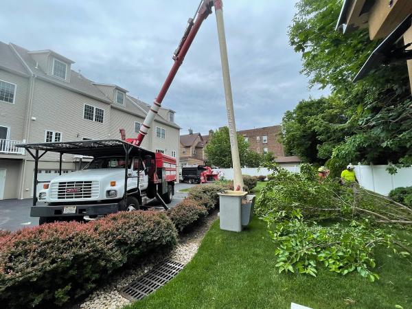 Uncle Matty's Tree Service