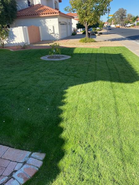 Kenny's Lawn Service