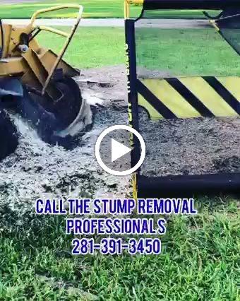 Cody's Tree Service