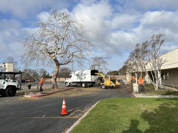 JBS Tree Care Inc