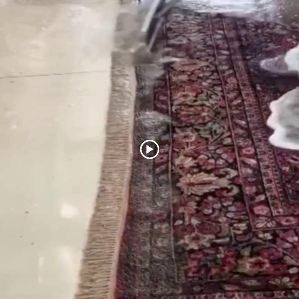 Capital Rug Cleaning