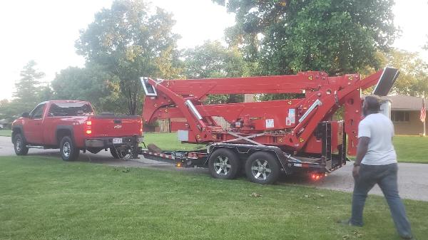 F & F Tree Service