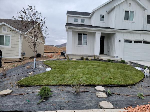 AGC Window Washing & Landscaping