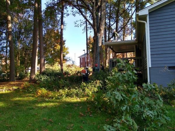 Arbor Lawn Tree Service LLC