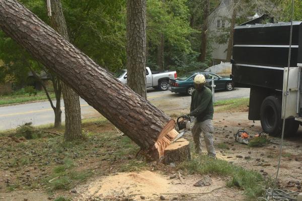 Arbor Lawn Tree Service LLC