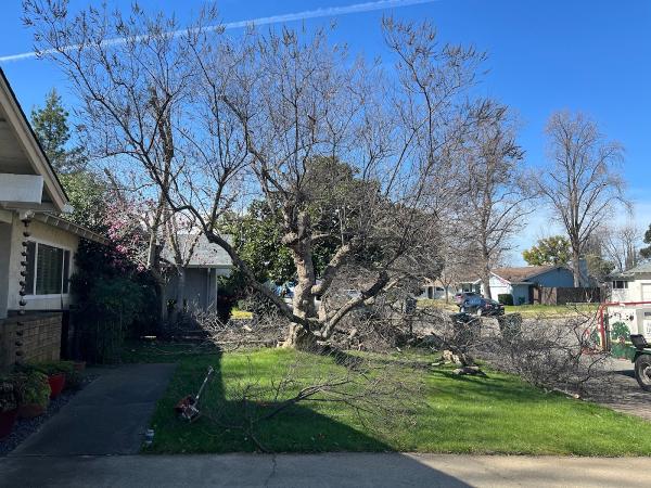 North Valley Tree Service