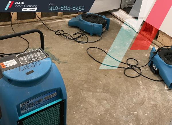 Em.di Carpet Cleaning Baltimore