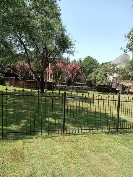 Lone Star Landscapes