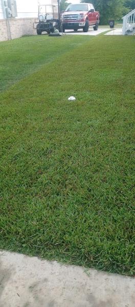 The Sod Outlet