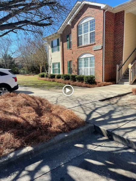 TLM Lawn Maintenance